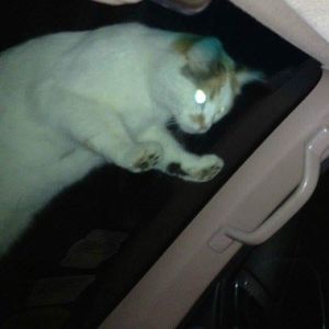 Meet your Posher, Avery